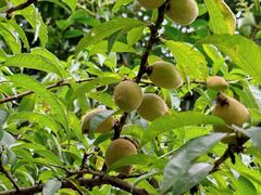 -敬亭山风景名胜区