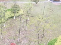 -青浦区凤溪小学