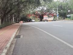 -南国桃园旅游度假区