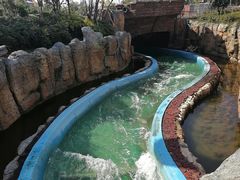 -上海海昌海洋公园