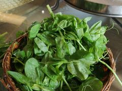 -二荆条·蜀鲜汇城市森林火锅