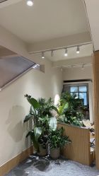 -七色田儿童摄影(静安店)
