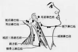 -名发世家烫染
