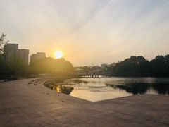 -新江湾城公园