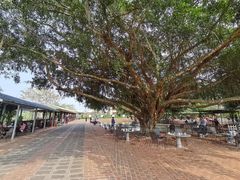 -侯臣咖啡文化村