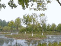 -东郊湿地公园