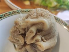 -十二毡房蒙餐·蒙古包