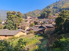 -杨家堂村