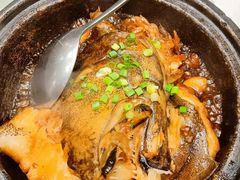 -海派美食·家宴海鲜青岛菜·石锅鲽鱼头(东方城店)