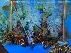 大堂-辉哥火锅(虹桥路店)