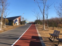 -上海长兴岛郊野公园