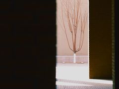 -中国艺术研究院油画院