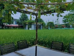 -洪湖家庭农场·团建·露营·会议
