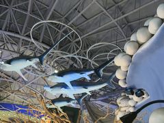 -烟台海昌鲸鲨海洋公园