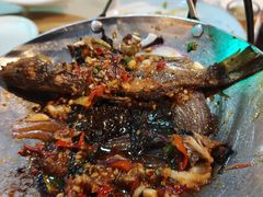 -黑牛码头·小龙虾·烧烤