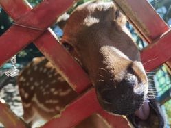 -萌宠亲子动物乐园(槐房万达店)