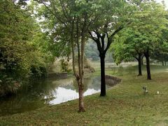 -福建鲤鱼洲酒店