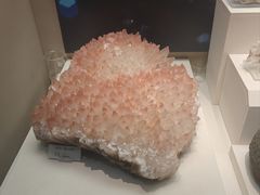 -天津自然博物馆