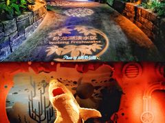 -沈阳海洋探索中心