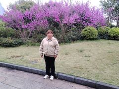 -桐乡植物园
