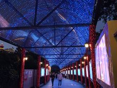 -广州长隆国际大马戏