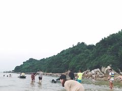 -杨梅坑