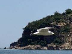 -棒棰岛宾馆景区