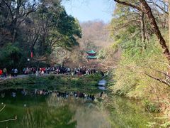 -岳麓山风景名胜区