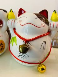 -美肤盾祛痘·问题肌头疗管理中心