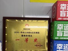 -老袁家蜜桃农场·阳山水蜜桃