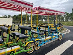 -春花秋色城市公园