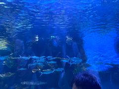 -华夏文旅海洋公园