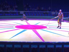 马戏表演-西安秦岭野生动物园