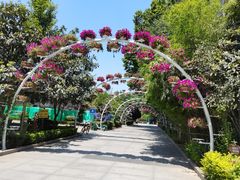 -半坡国际艺术区