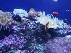 -成都浩海立方海洋公园