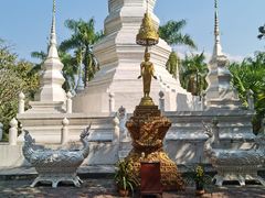 -西双版纳傣族园