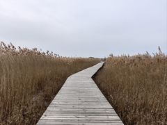-野鸭湖国家湿地公园