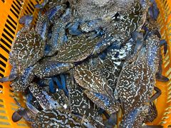 -沙田台山海鲜·酣客酒窖