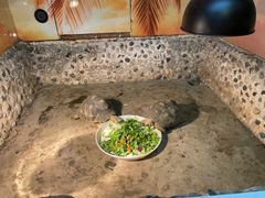 -上海大自然野生昆虫馆(东方明珠·爬宠昆虫探索中心)