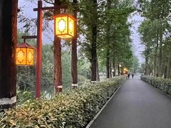 -洋湖国家湿地公园