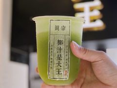 特爽绿宝蜜瓜-眞宗·椰汁是大王(小娄巷店)