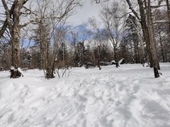 -亚布力新体委滑雪场