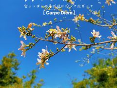-田心森林公园