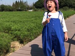 -田园东方蜜桃村的田野营地