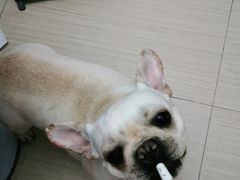 -宠颐生中康贝怡动物医院