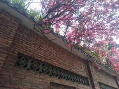 -东风公园