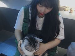 -极木²邸 人与宠物·互动社区