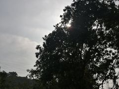 -求水山公园