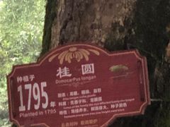-张坝桂圆林公园