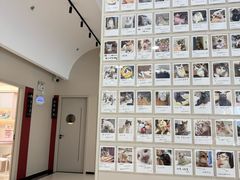 -御宝贝24h宠物医院·转诊中心·CT核磁血透中心(厦门总院)